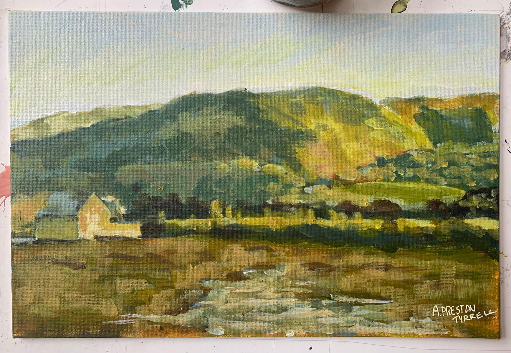 Porlock Salt Marshes - 8x11 acrylic on canvas board